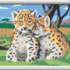 CreArt Serie D ClassiC-CuCCioli Leopardo