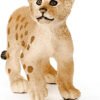 Cucciolo di leone