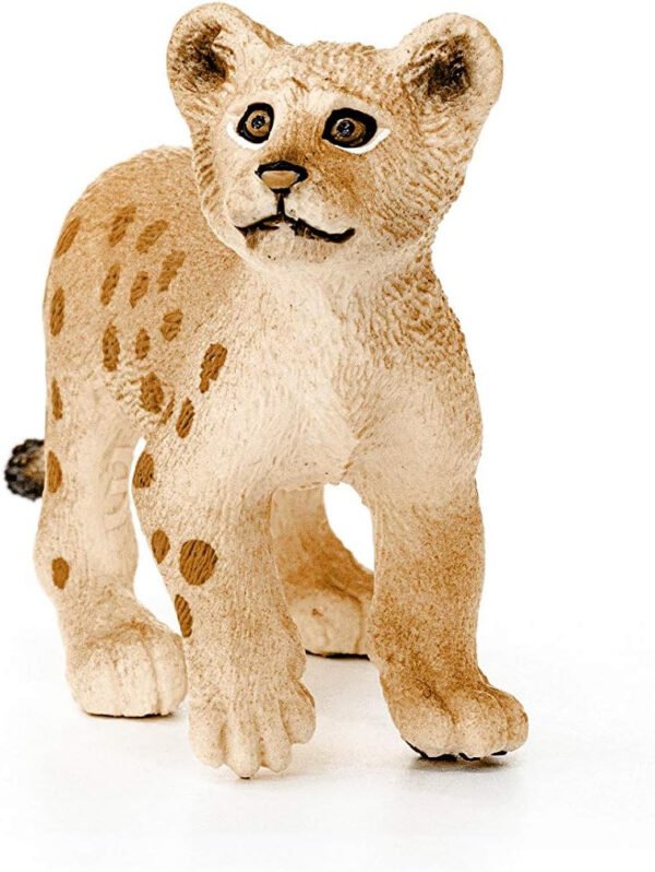 Cucciolo di leone