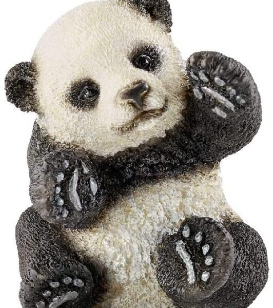 CUCCIOLO DI PANDA CHE GIOCA