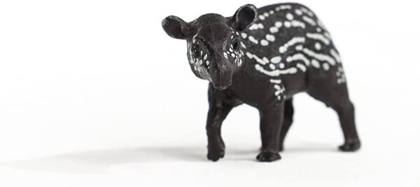 Cucciolo di tapiro