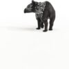 Cucciolo di tapiro