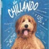 DIARIO 12M STD COMIX HASHTAG CANE