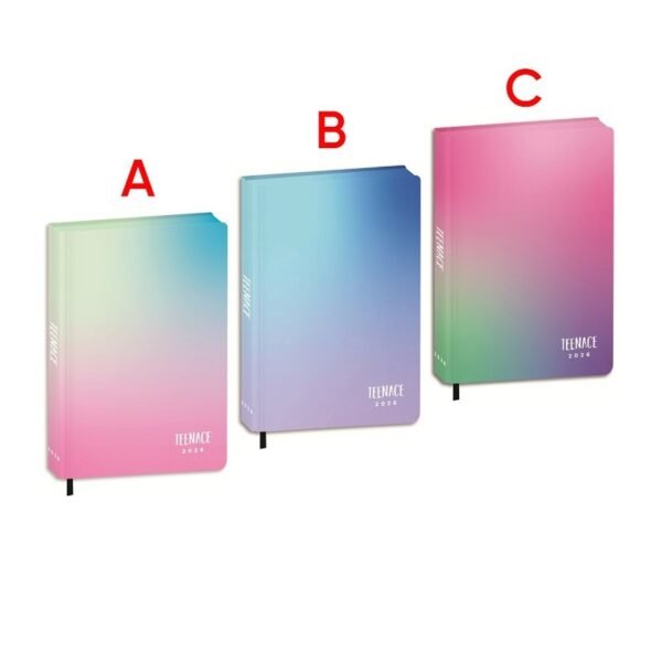 DIARIO STD 12M #R SPECIAL PU TEENACE DIARI