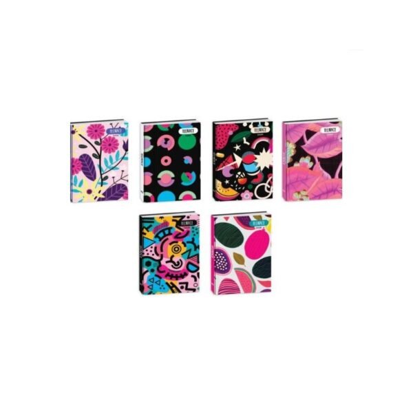 DIARIO STD 12M #R TEENACE DIARI