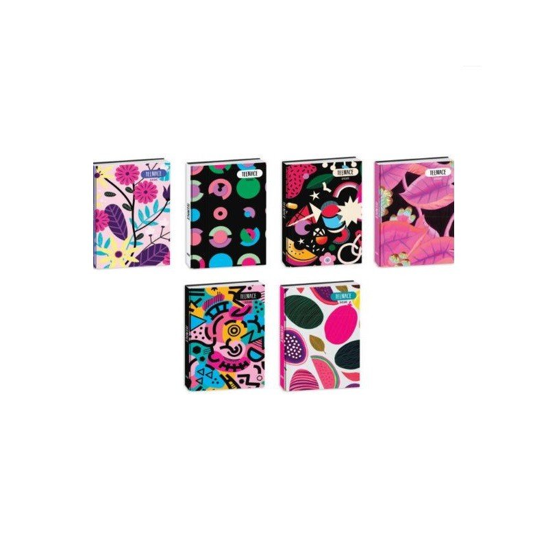 DIARIO STD 12M #R TEENACE DIARI