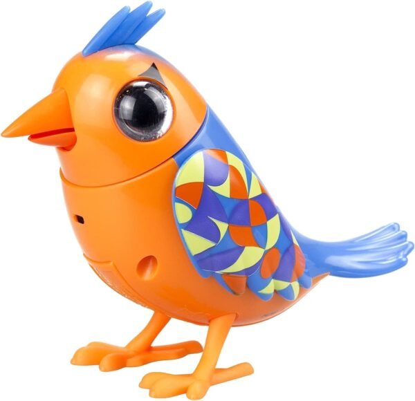 DIGIBIRDS II S.PACK S2 confezione arancione
