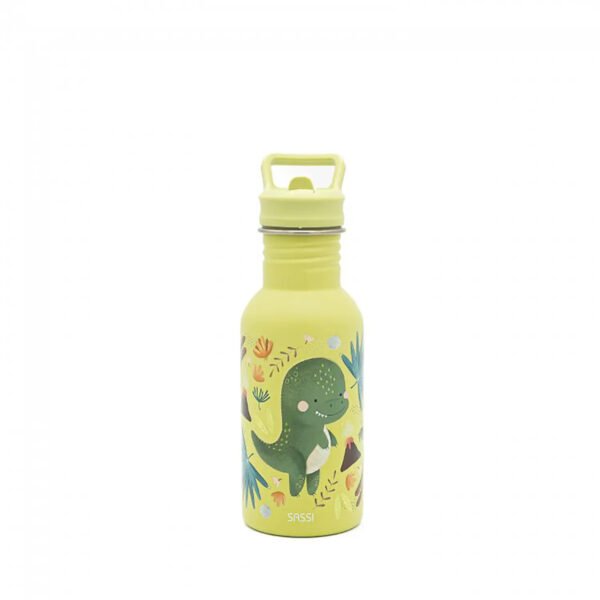DINOSAUR - STAINLESS STEEL BOTTLE - 500 ML .