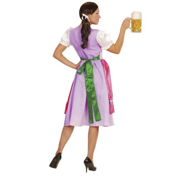 "DIRNDL" (vestito con grembiule)