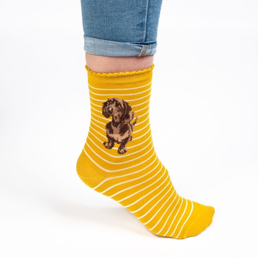Dog Sock - Little One - MUSTARD - immagine 2