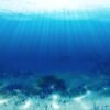 ENDLESS OCEAN LUMINOUS (Switch)