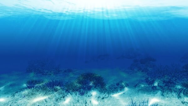 ENDLESS OCEAN LUMINOUS (Switch)