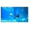 ENDLESS OCEAN LUMINOUS (Switch)