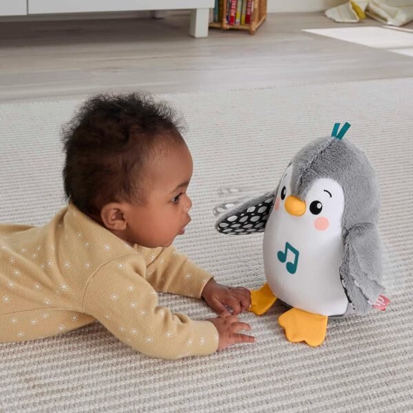 FISHER PRICE PINGUINO DOLCI COCCOLE hnc10