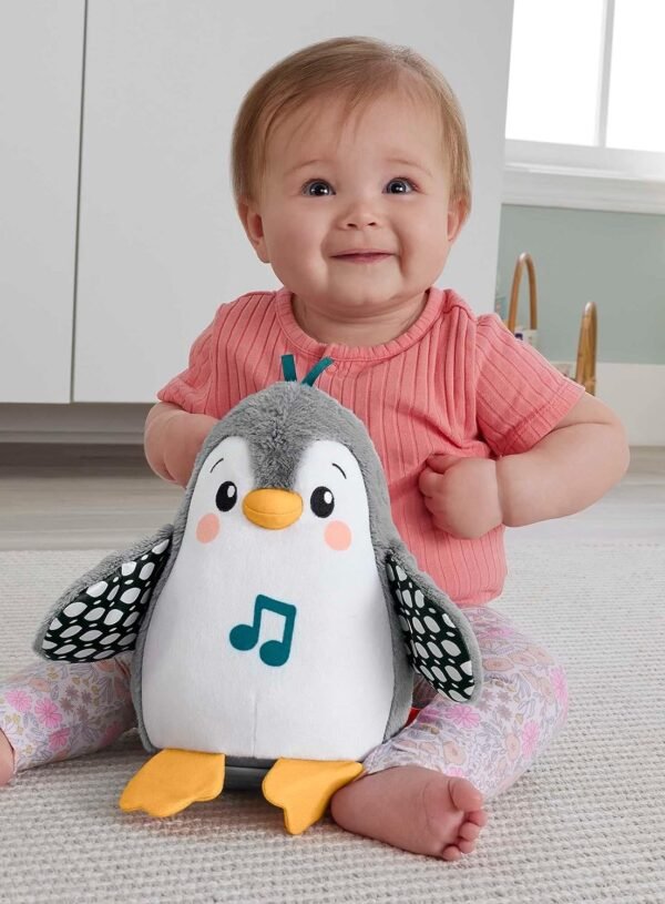 FISHER PRICE PINGUINO DOLCI COCCOLE hnc10