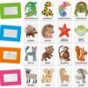 Flashcards Animali Tattili Montessori