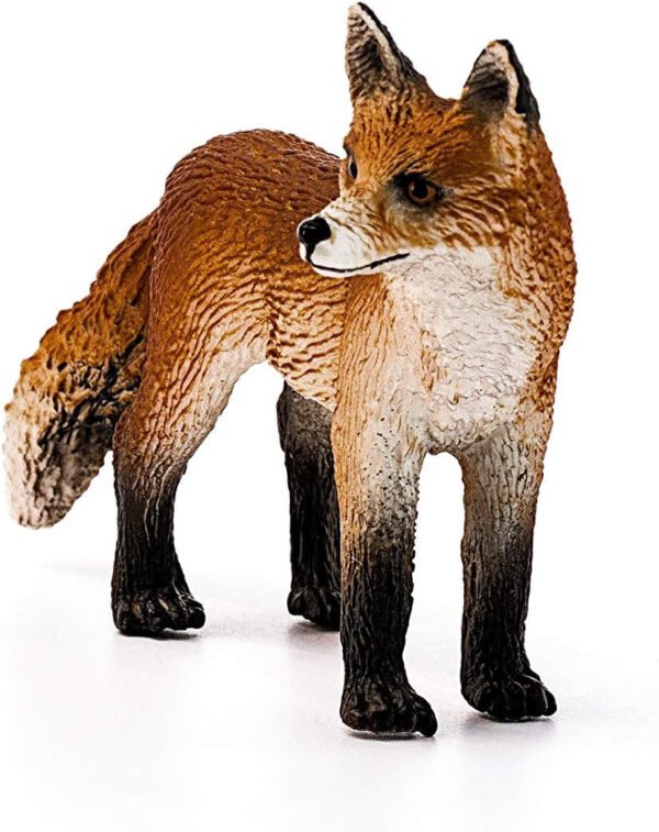 Fox