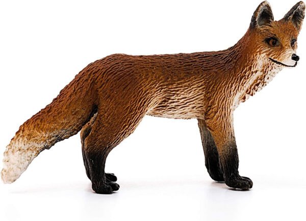 Fox