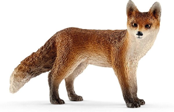 Fox