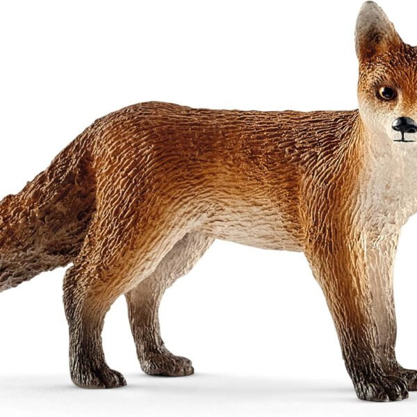 fox.jpg Fox