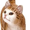 Gatto