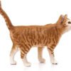 Gatto