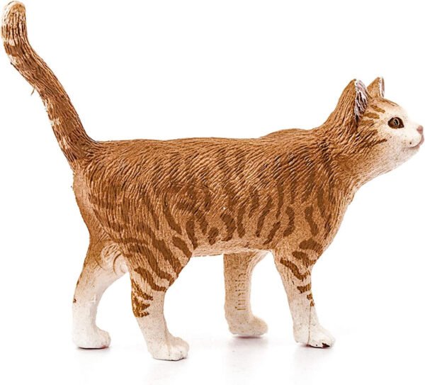 Gatto