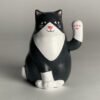 GATTO SOLARE KIKKERLAND