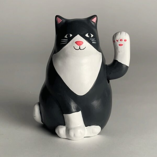 GATTO SOLARE KIKKERLAND