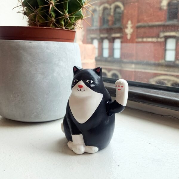 GATTO SOLARE KIKKERLAND