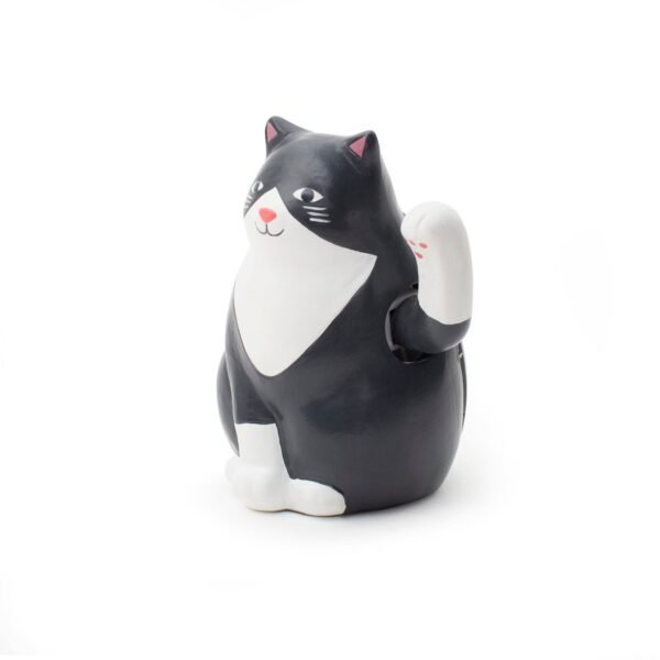 GATTO SOLARE KIKKERLAND