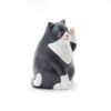 GATTO SOLARE KIKKERLAND