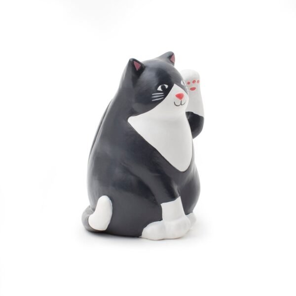 GATTO SOLARE KIKKERLAND