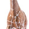 GIRAFFA MASCHIO