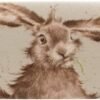 glasses-case-hare.jpg Glasses Case - Hare