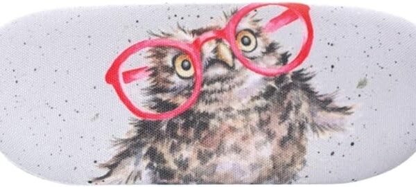 Glasses Case - Owl
