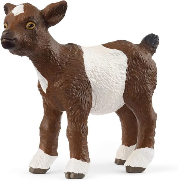 Goat Kid