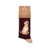 Golden Labrador Men's Socks - Good as Gold