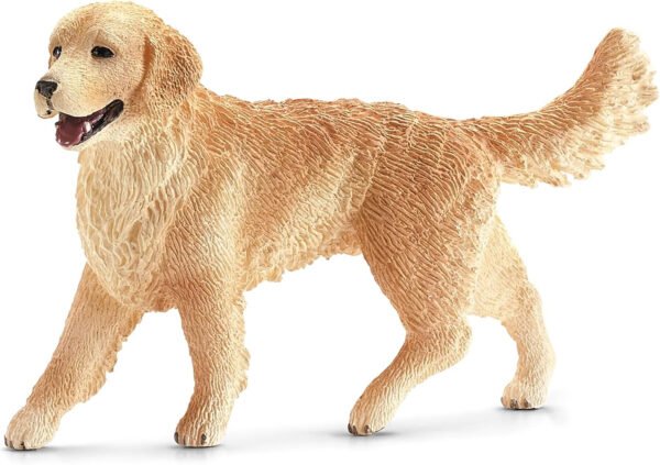 Golden Retriever, female