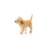 Golden Retriever puppy