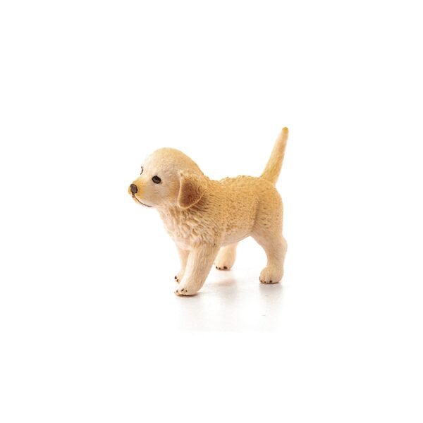 Golden Retriever puppy