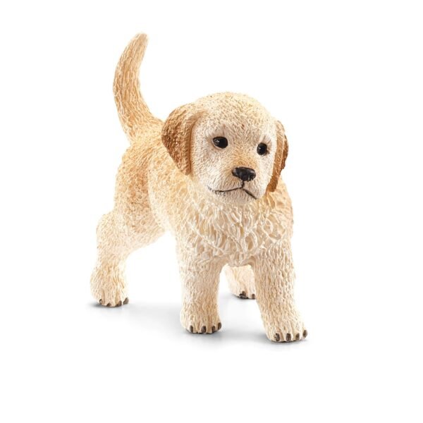 golden-retriever-puppy.jpg Golden Retriever puppy