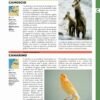 Grande enciclopedia illustrata degli animali