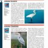 Grande enciclopedia illustrata degli animali