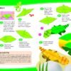 Il grande libro dell'origami