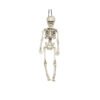 HALLOWEEN SCHELETRO 40CM
