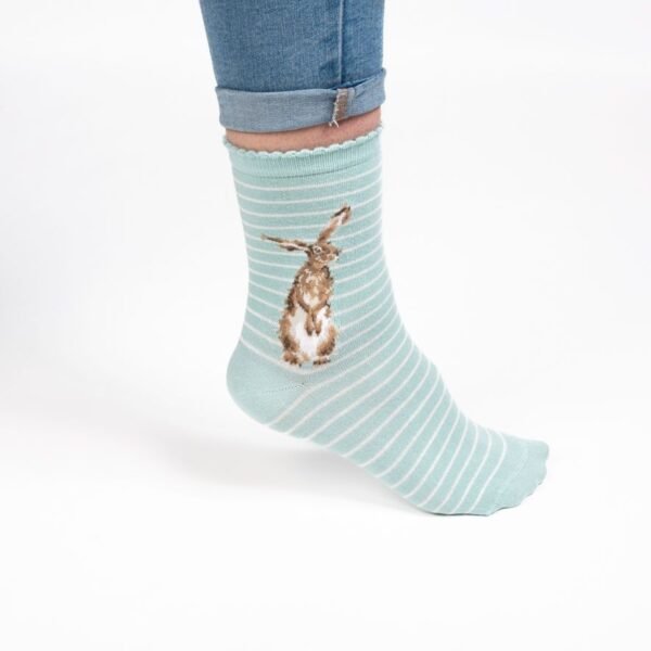 Hare Sock - Hare and the Bee