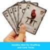 HARRY POTTER - MAZZO CARTE DA GIOCO (Gadget)