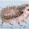 Hedgehog Glasses Case - Love and Hedgehugs