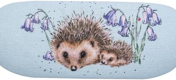 Hedgehog Glasses Case - Love and Hedgehugs
